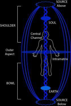 PLEASE WORK (hoodie kinda big)