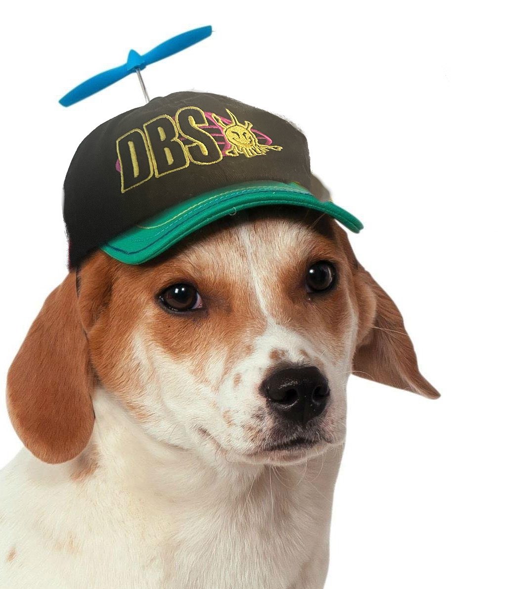 DA HEAD GEAR (its a hat) OFFICAL PART V