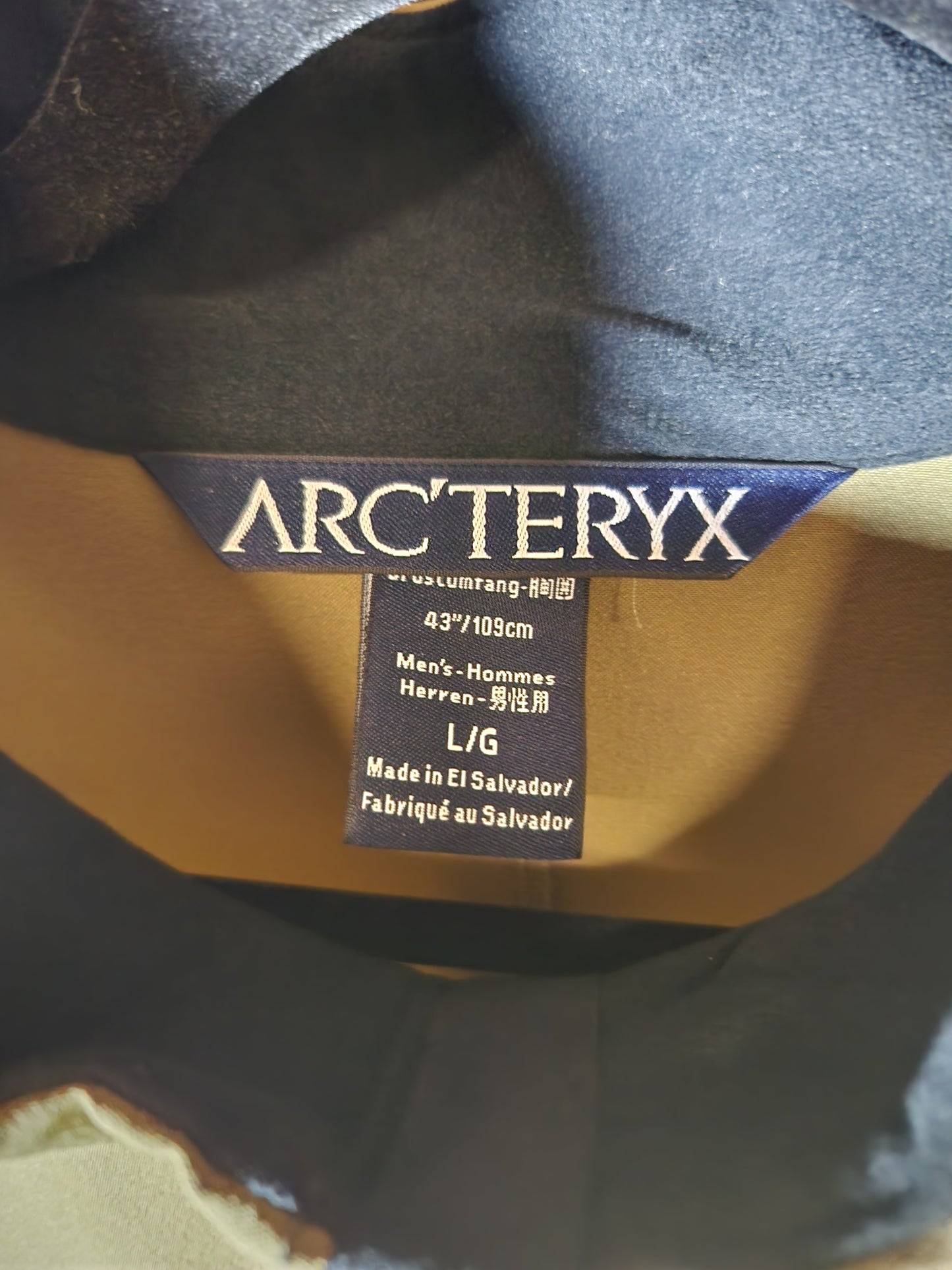 Arcteryx LEAF DRAC Jacket Crocodile (Large)