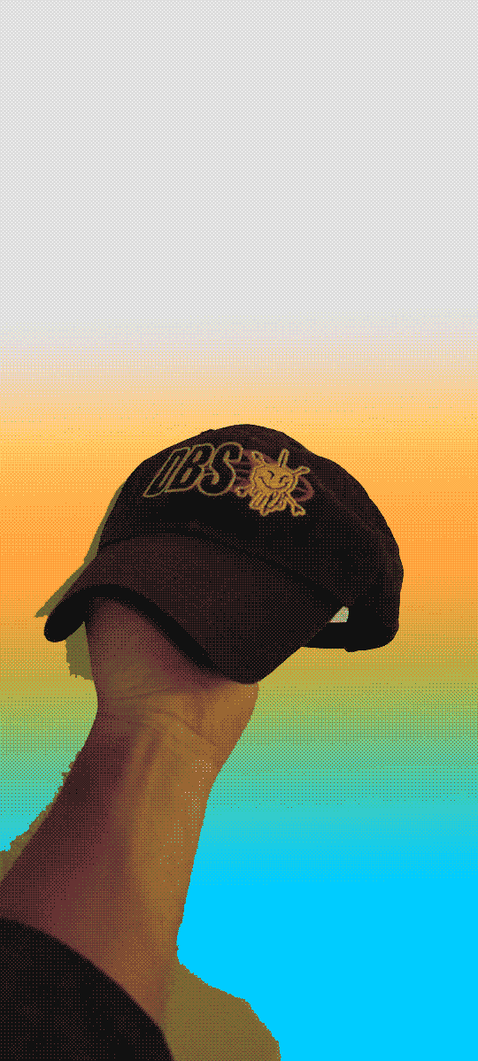 DA HEAD GEAR (its a hat) OFFICAL PART V